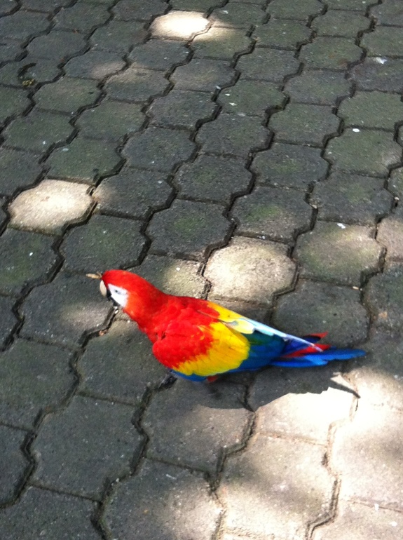 Путевые заметки непутевой путешественницы. Часть 3.