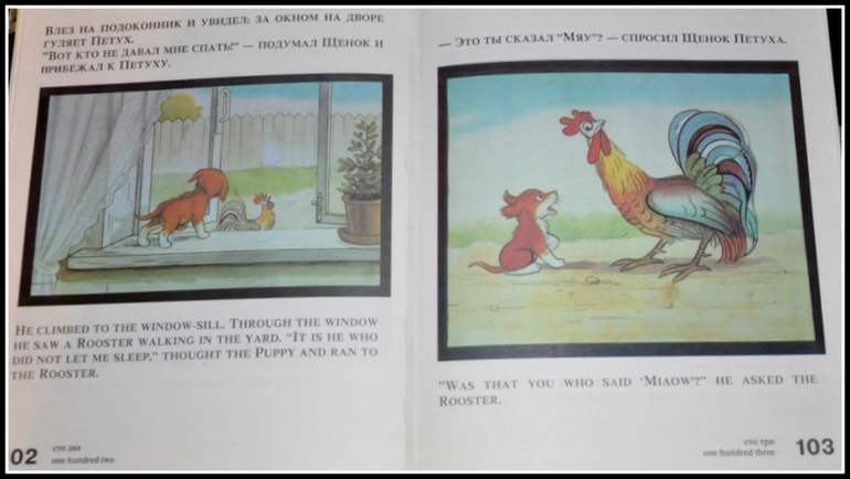 Книгообзор 7