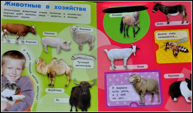 Книгообзор 5