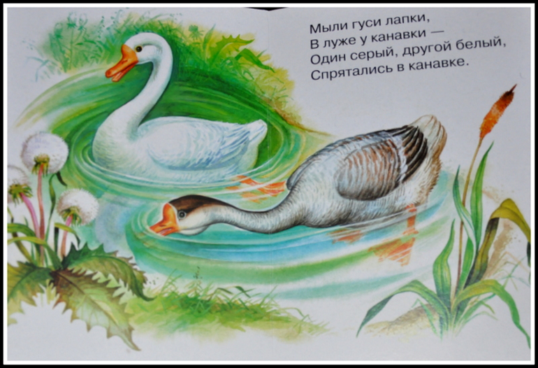 Книгообзор 5