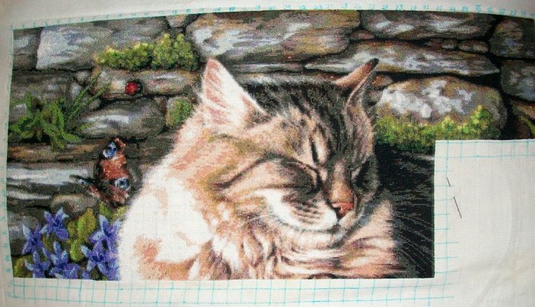 Вышивка кошка хаед. Предлагаю отшив. Предлагаю отшив. Картины хаед. Картины хаед.