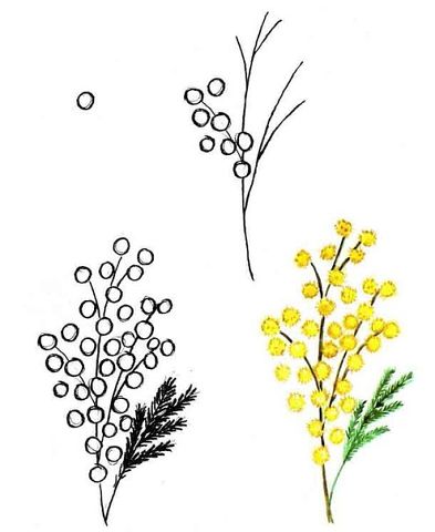 рисуем цветы