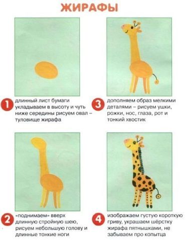 рисуем животных