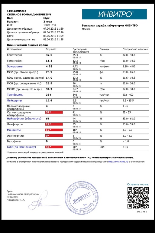 Мононуклеары в общем анализе крови фото