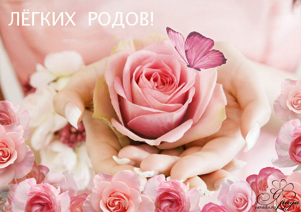 aa51a83b9d7a07ff7c17b77ea97a2e21.jpg