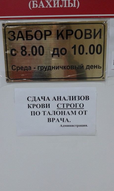 До скольки сдают анализы. Прием анализов мочи. Приём анализов в детской поликлинике. График приема анализов.