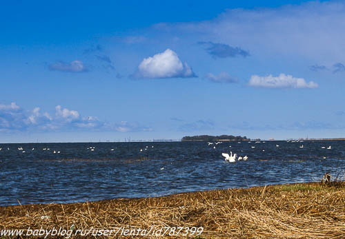 Майские на волне вежливости. Где мы были, как мы жили.