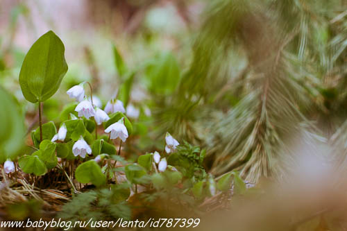 Майские на волне вежливости. Где мы были, как мы жили.