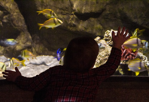 Going out. Кирюха 1,5 года