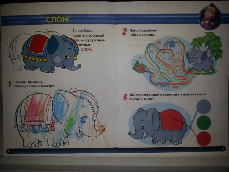 Обучающая книжка с наклейками "Маша и Медведь"