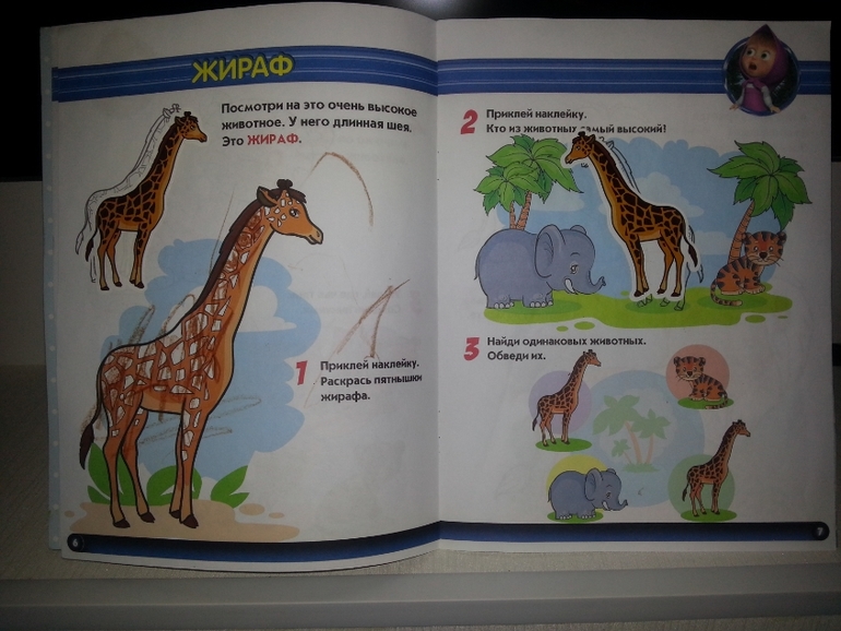 Обучающая книжка с наклейками "Маша и Медведь"