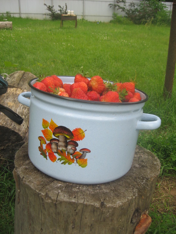 Отзывы по некоторым сортам клубники