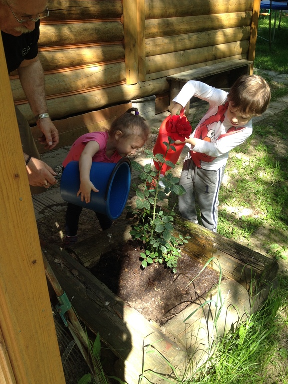 Паровозик и другие будничные фоточки