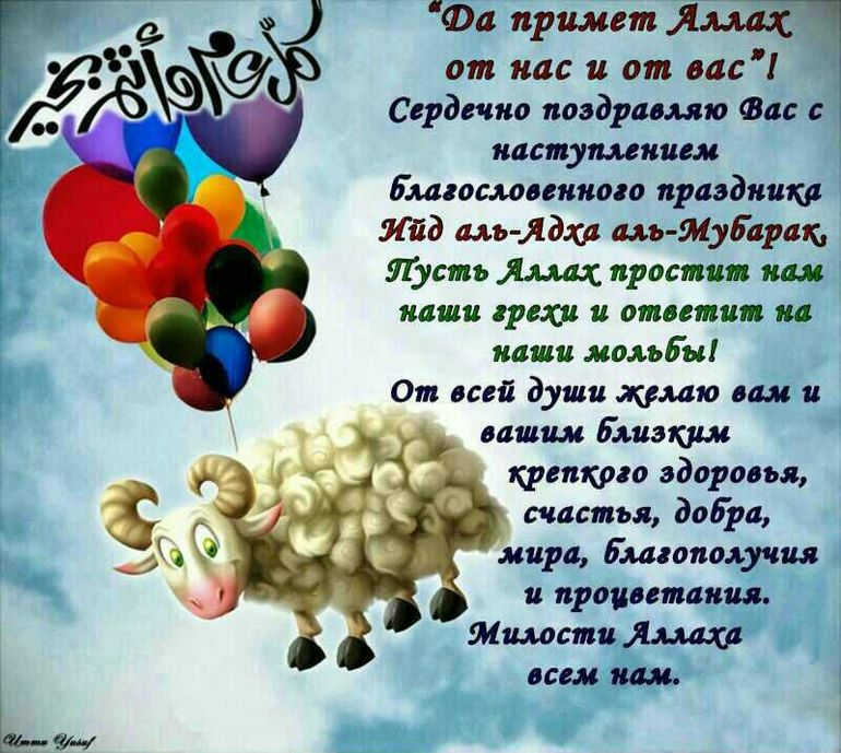 9fbe69e8dbd7839b685d73eb7e9cefec.jpg