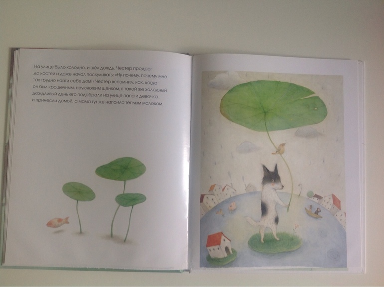 Приключения Честера. Айяно Имаи.