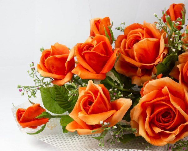 7716fb4a4db93a3944ce48c54d603fd3.jpg