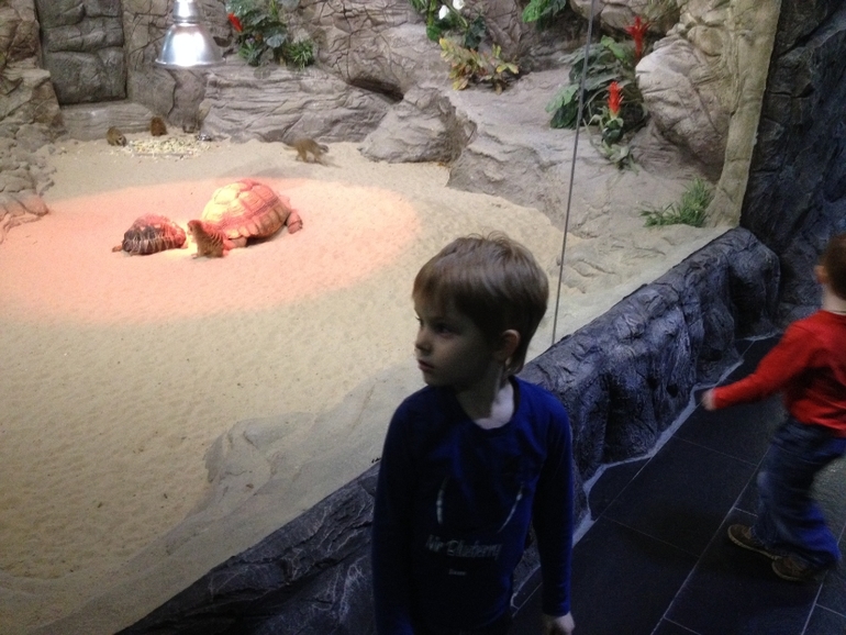 эксерементариум в рио на дмитровке