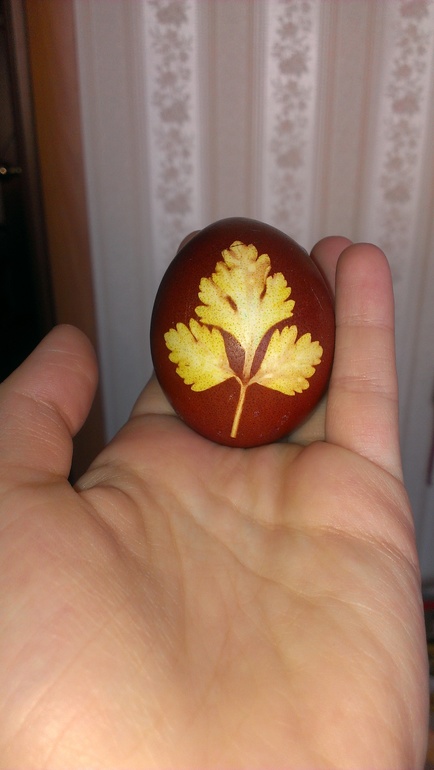 Просто фотки))