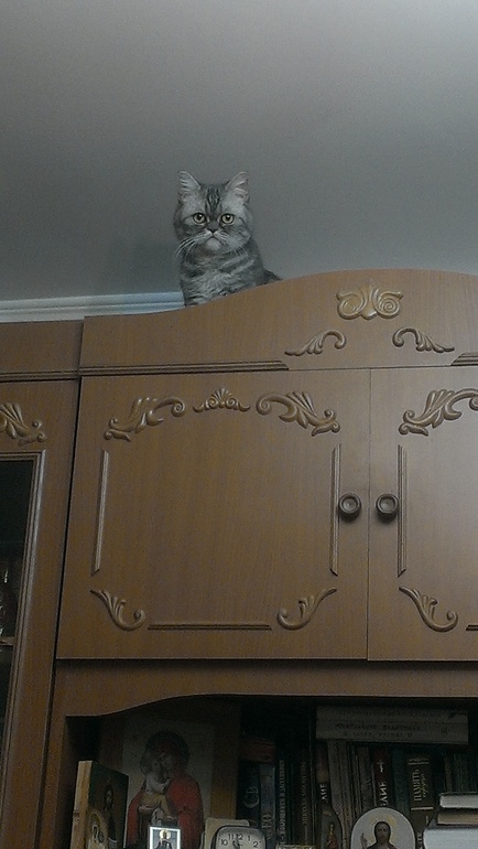 Просто фотки))