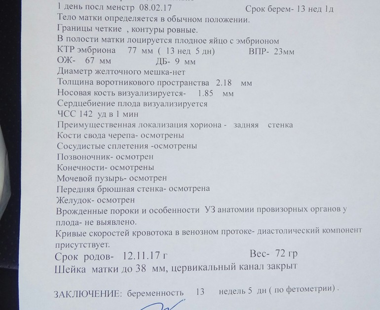 Первый скрининг пройден! - 13 ответов форум Babyblog