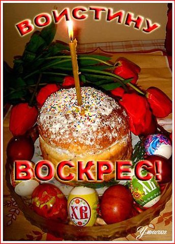 6d57a50aa8b32cd178a6289bd6f993d8.jpg