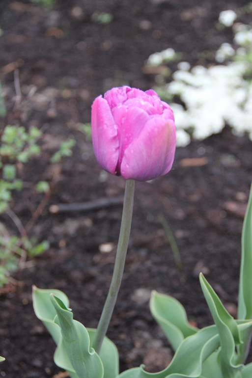 Второе дыхание 2, этап №3.