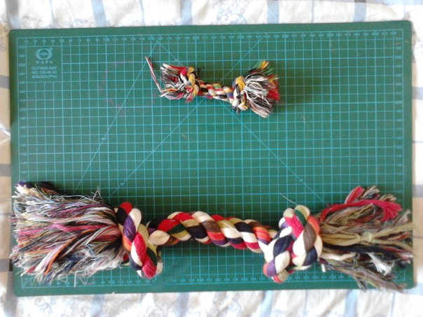 Наша супер собака! ) вот так мы выросли )