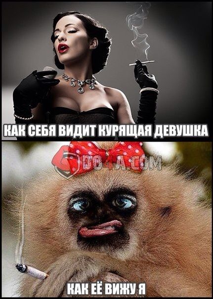 Прикольные картинки)