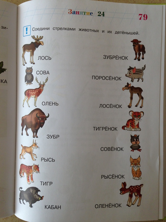 544f92ad8d194362c8e48c14df91cb10.jpg