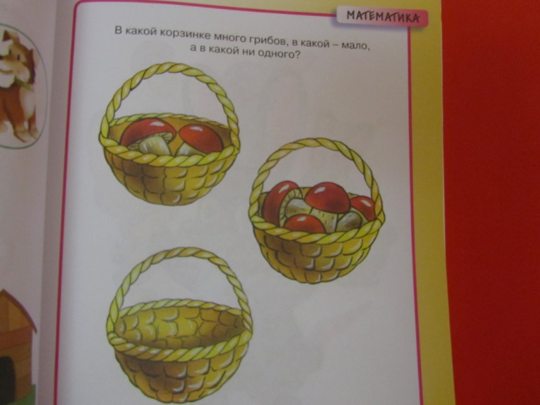 Наши занятия. Осень2
