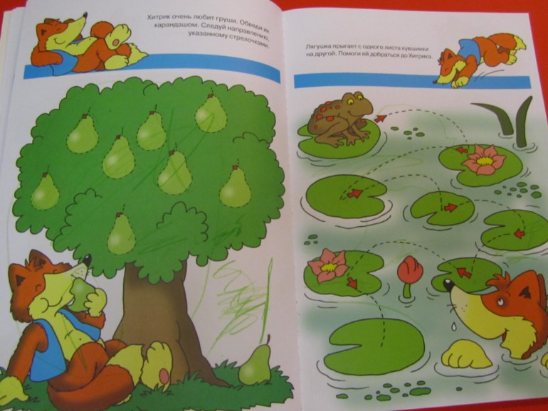 Наши занятия. Осень2