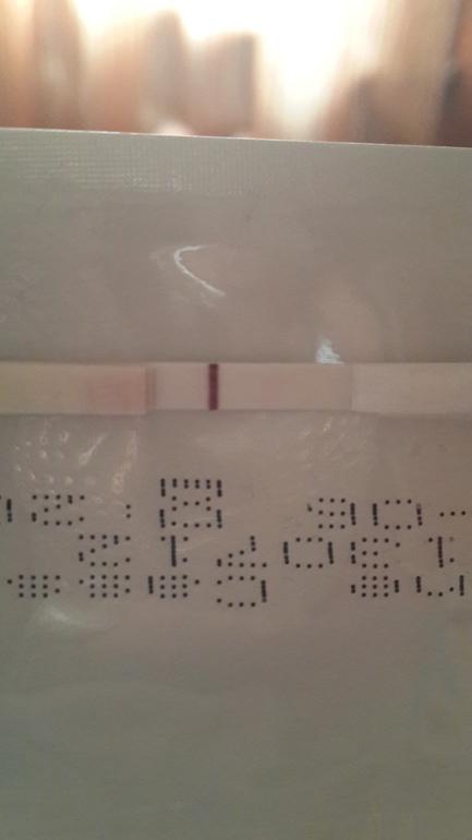 сегодняшнее утро