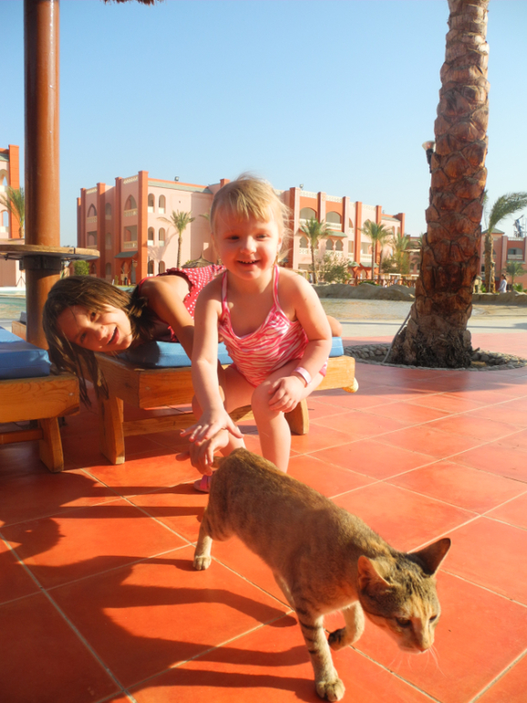 Beach Albatros Garden