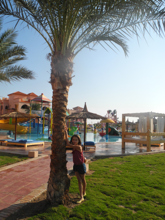 Beach Albatros Garden