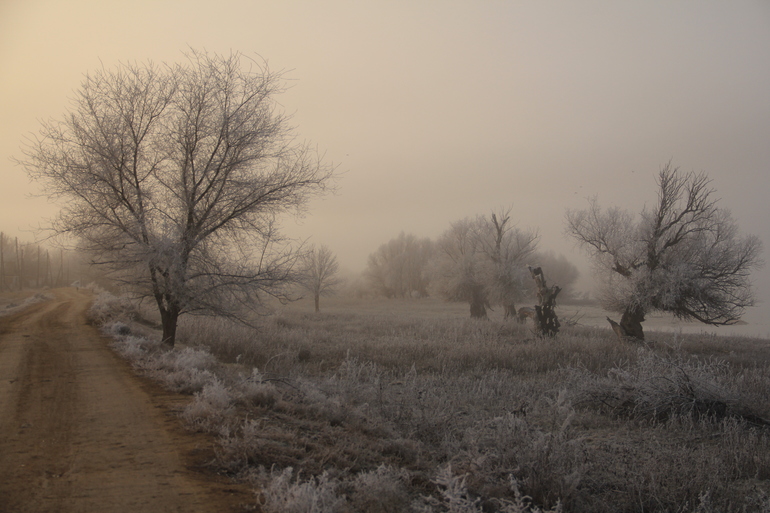 У нас по-утрам была зима