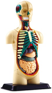 Новый детский планшет Paquito mini!