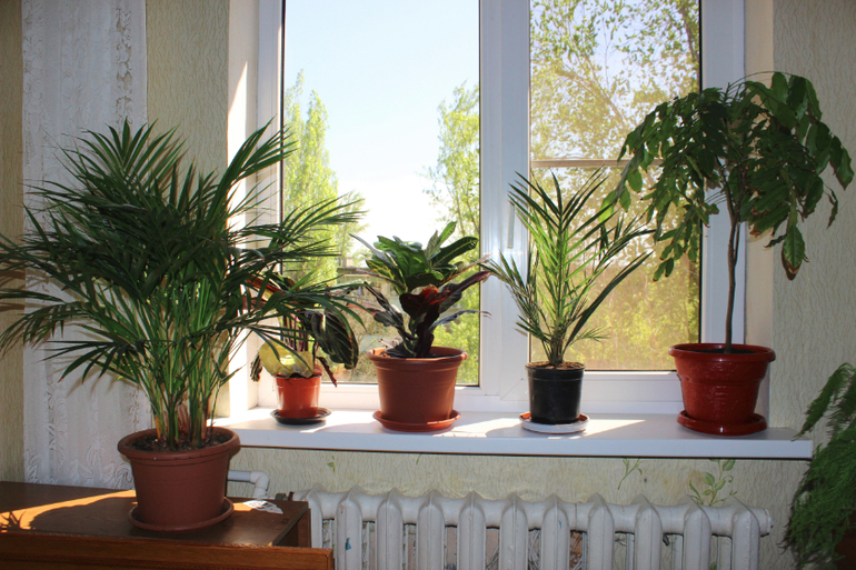 Эволюция продолжается)))