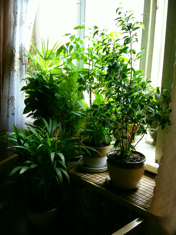 Эволюция продолжается)))