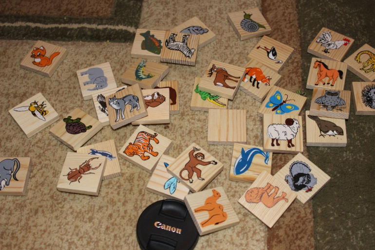 Мир развивающих игрушек. Хвастик)