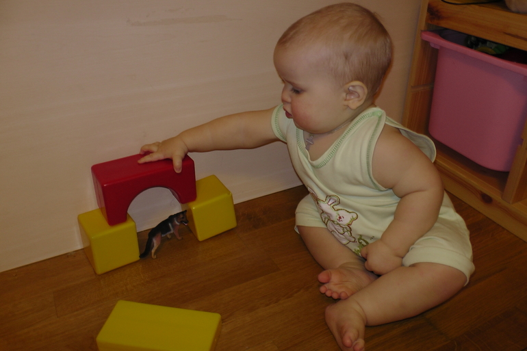 ФМ Домашние животные