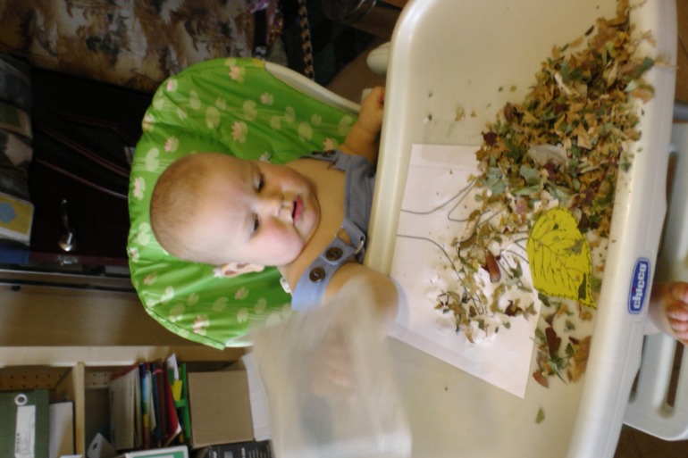 ТН Осень Д.1