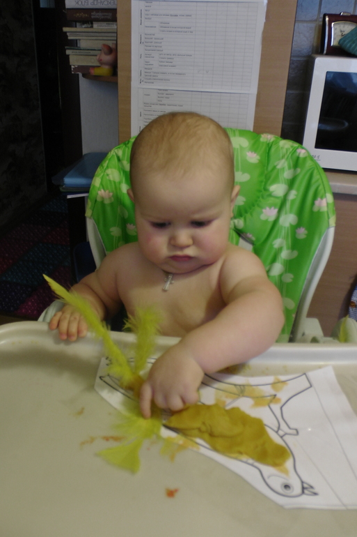 ФМ Домашние животные