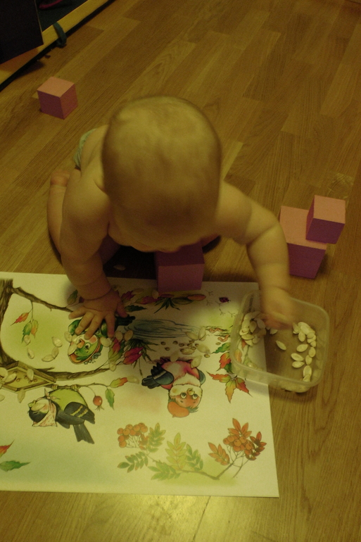 ТН Осень Д.5