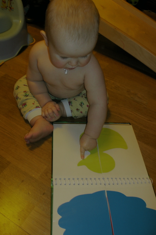 ФМ Цвета -Желтый.