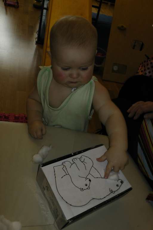 ФМ ТН Арктика и Антарктика