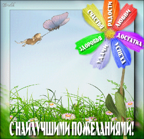 2c96aaccb6ee7b2099cd5fe8d0fec842.gif