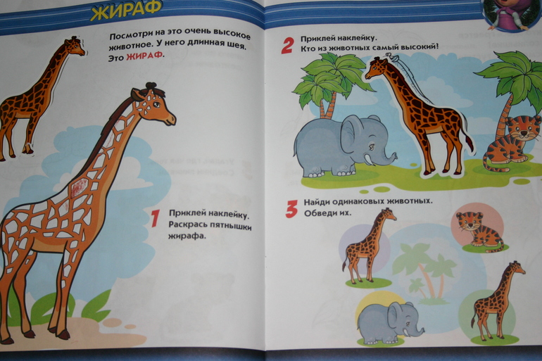Флешмоб