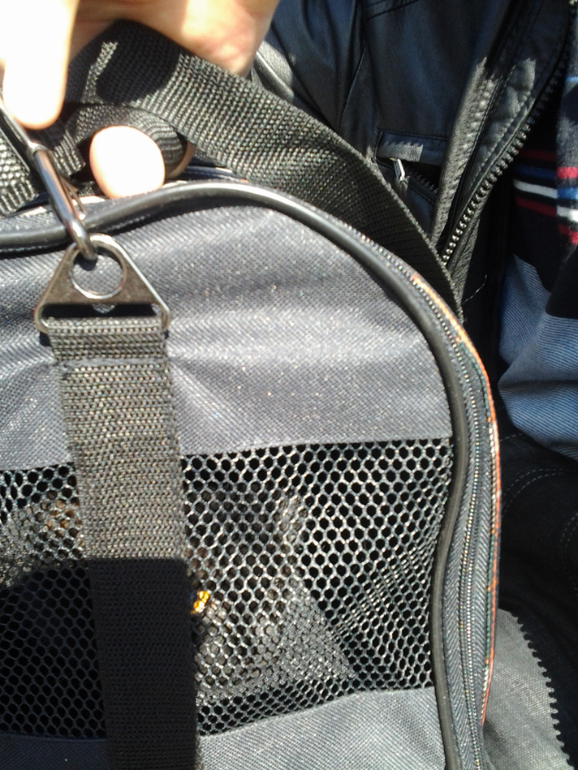 А мы ушки прокололи!))