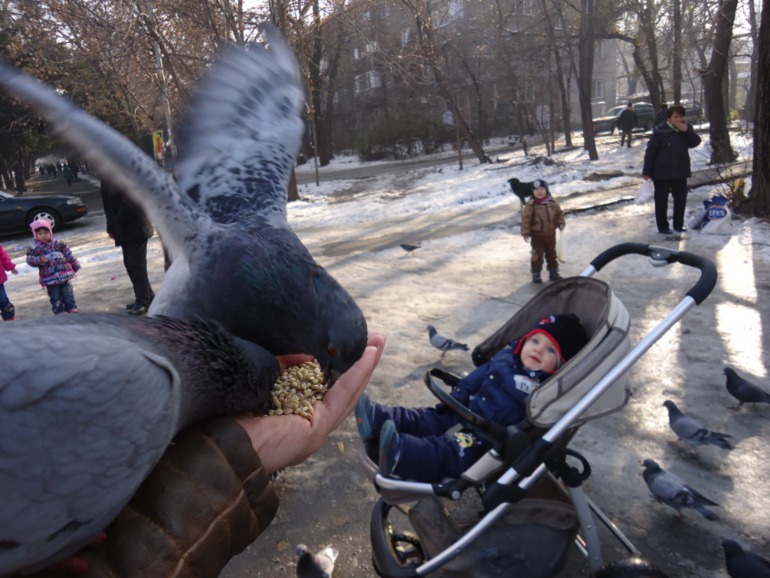Прогулка )))