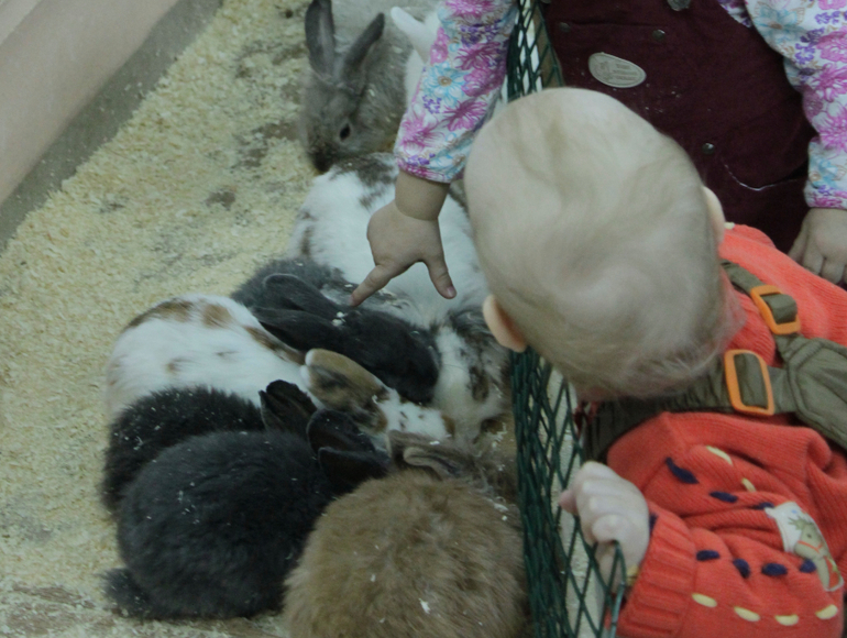 Контактный зоопарк, Теплый стан